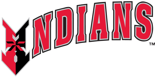 Indianapolis Indians 1998-Pres Wordmark Logo iron on transfers for clothing